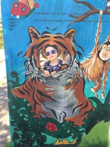 Trip to the Zoo