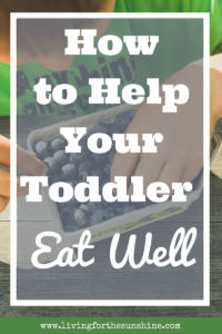 Easy and Fun Toddler Meals