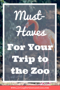 Zoo Must-Haves