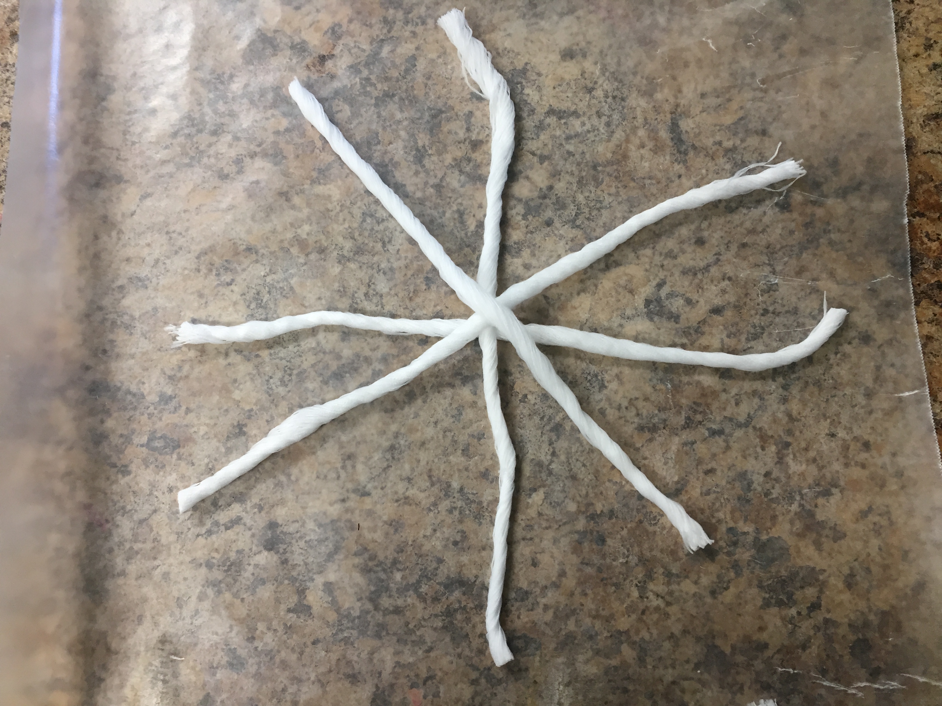 Spiderweb Craft for Kids