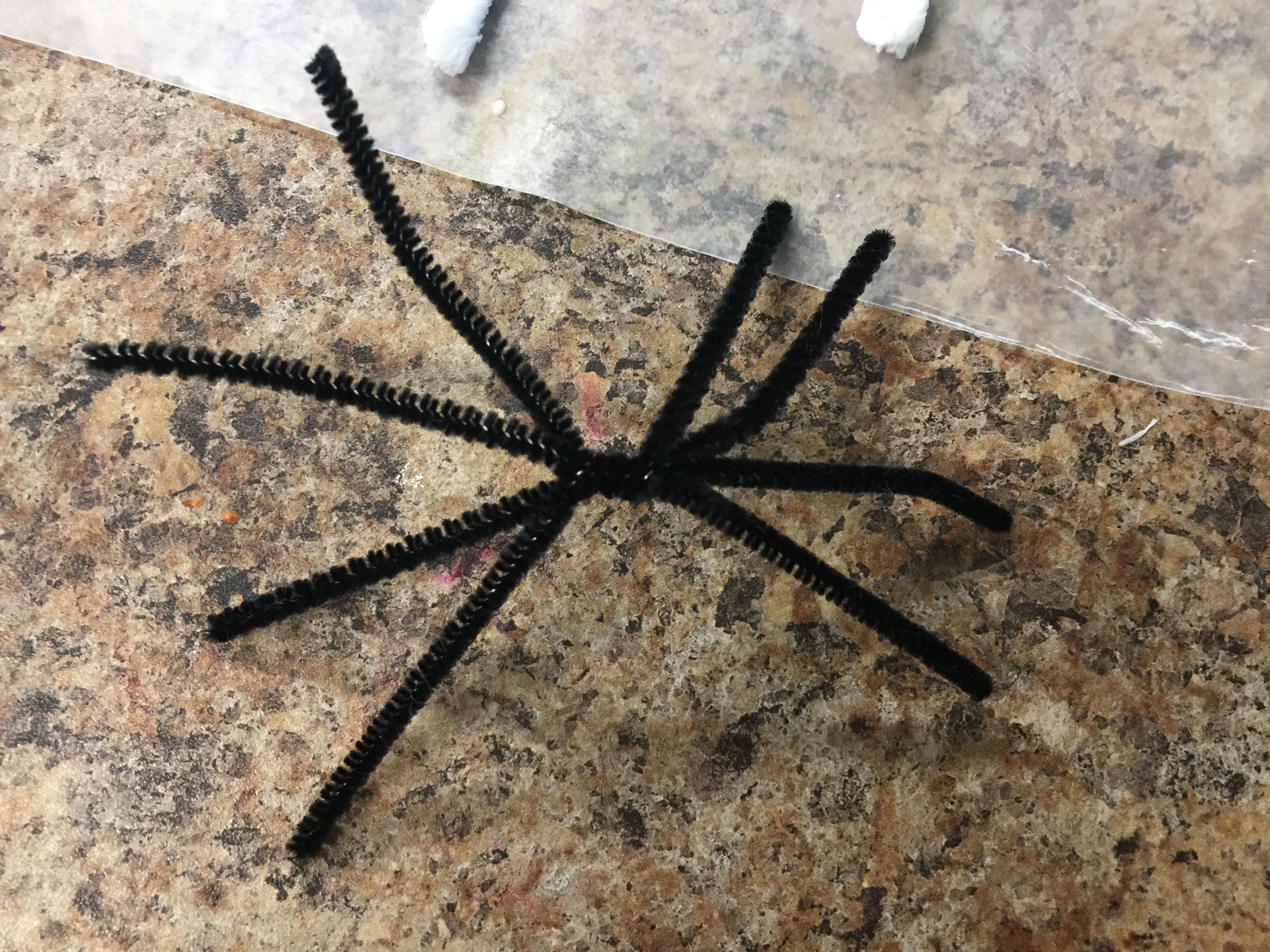 Spiderweb Craft for Kids