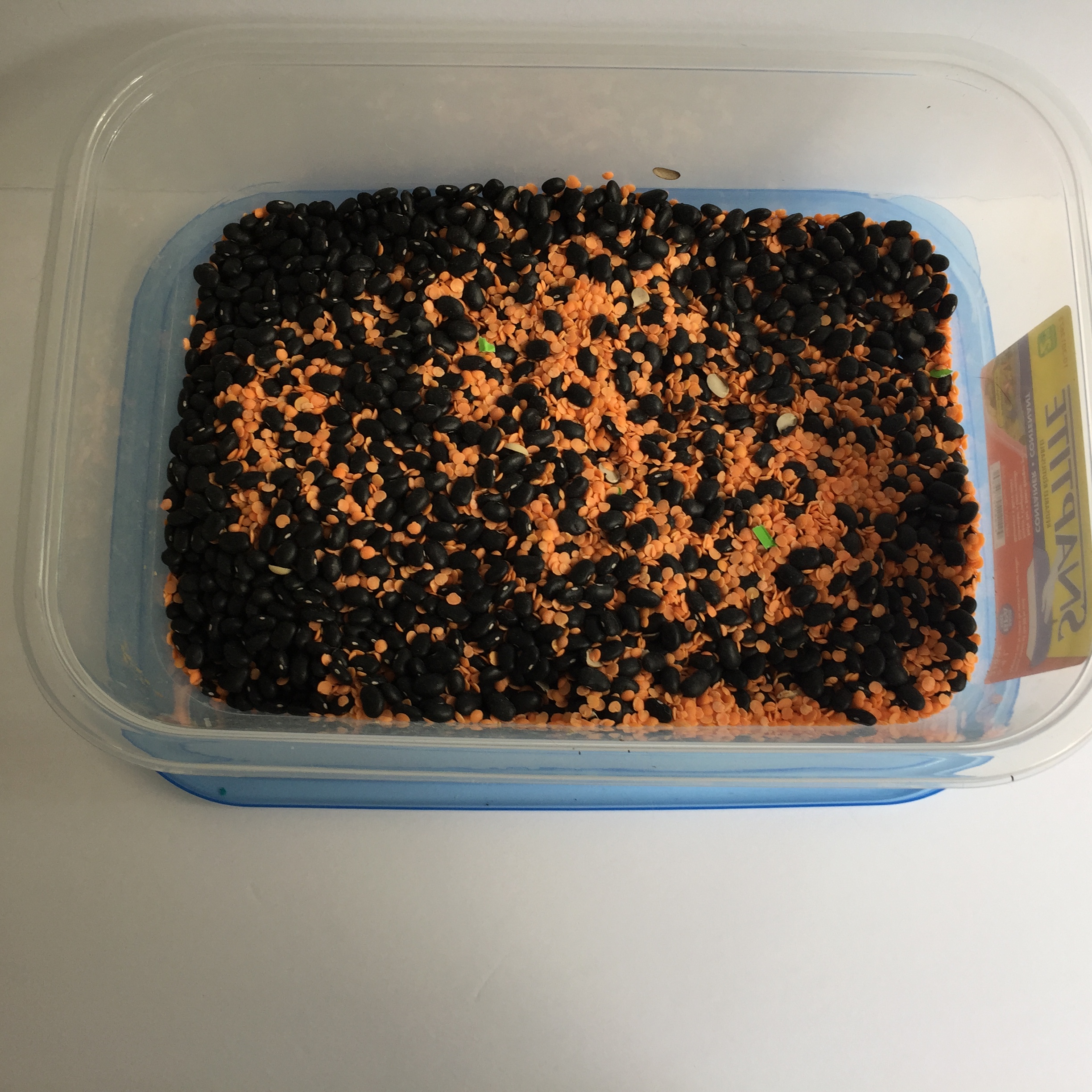 Halloween Sensory Activity for Toddlers