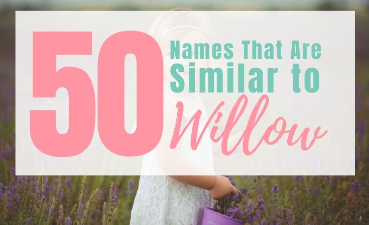 Beautiful Girl Names Similar to Willow - Living For the Sunshine